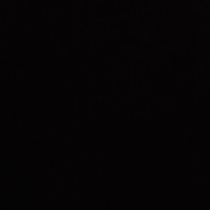 Meet your Posher, Shad